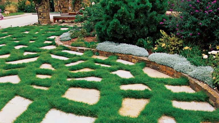 12 Cheaper Alternatives to Paver Patio - EdgeFurnish