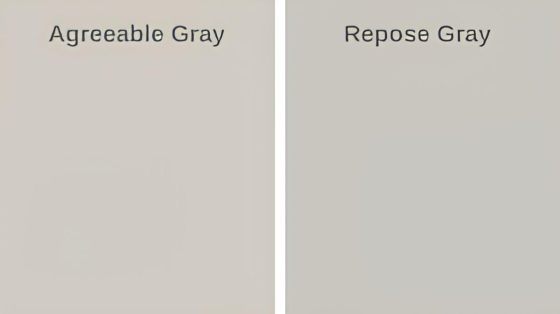 Agreeable Gray vs Repose Gray