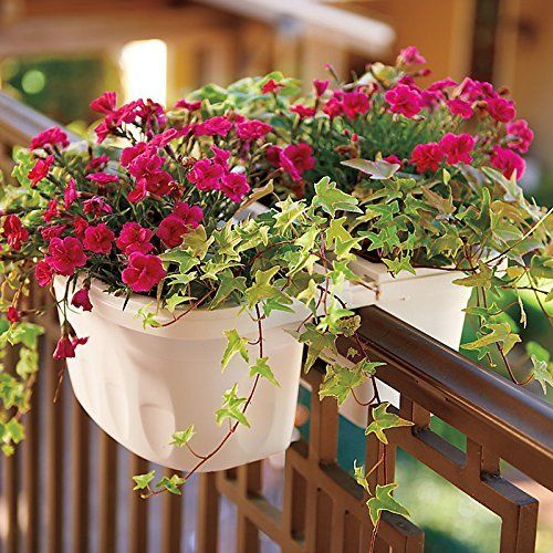 Apollo Exports Double-Sided Planters
