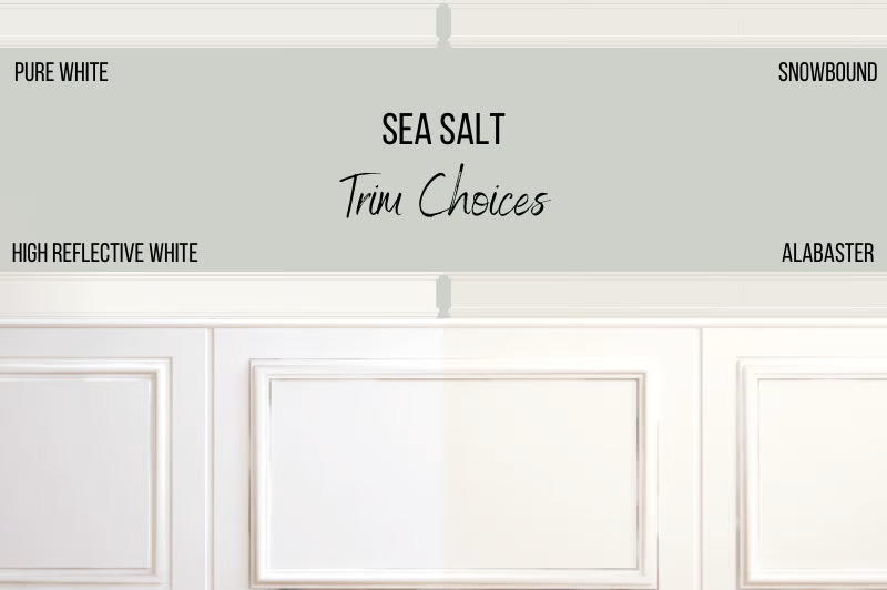 Best Coordinating Colors for Sea Salt SW