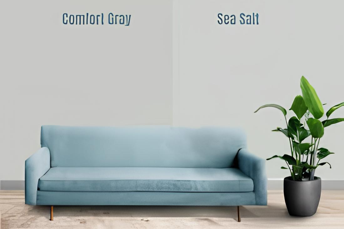 Sea Salt Vs. Comfort Gray