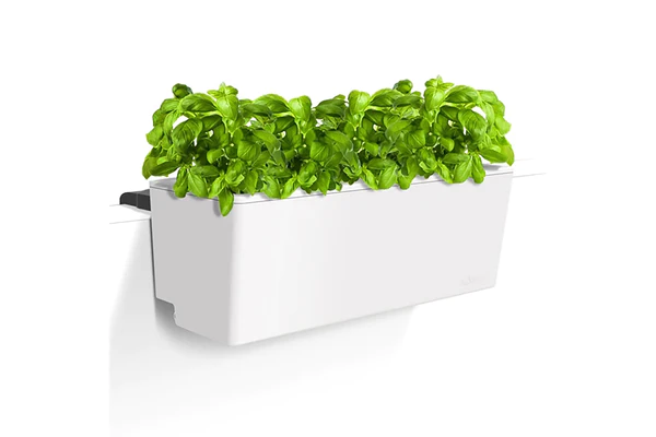 Self-Watering Glowpear Deck planters .jpg