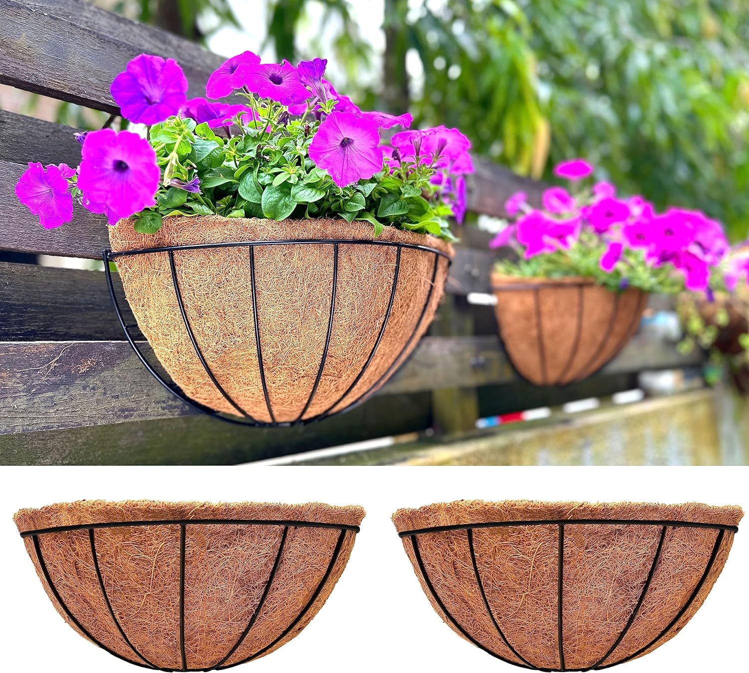 Semi Circle Wall Mounted Planter