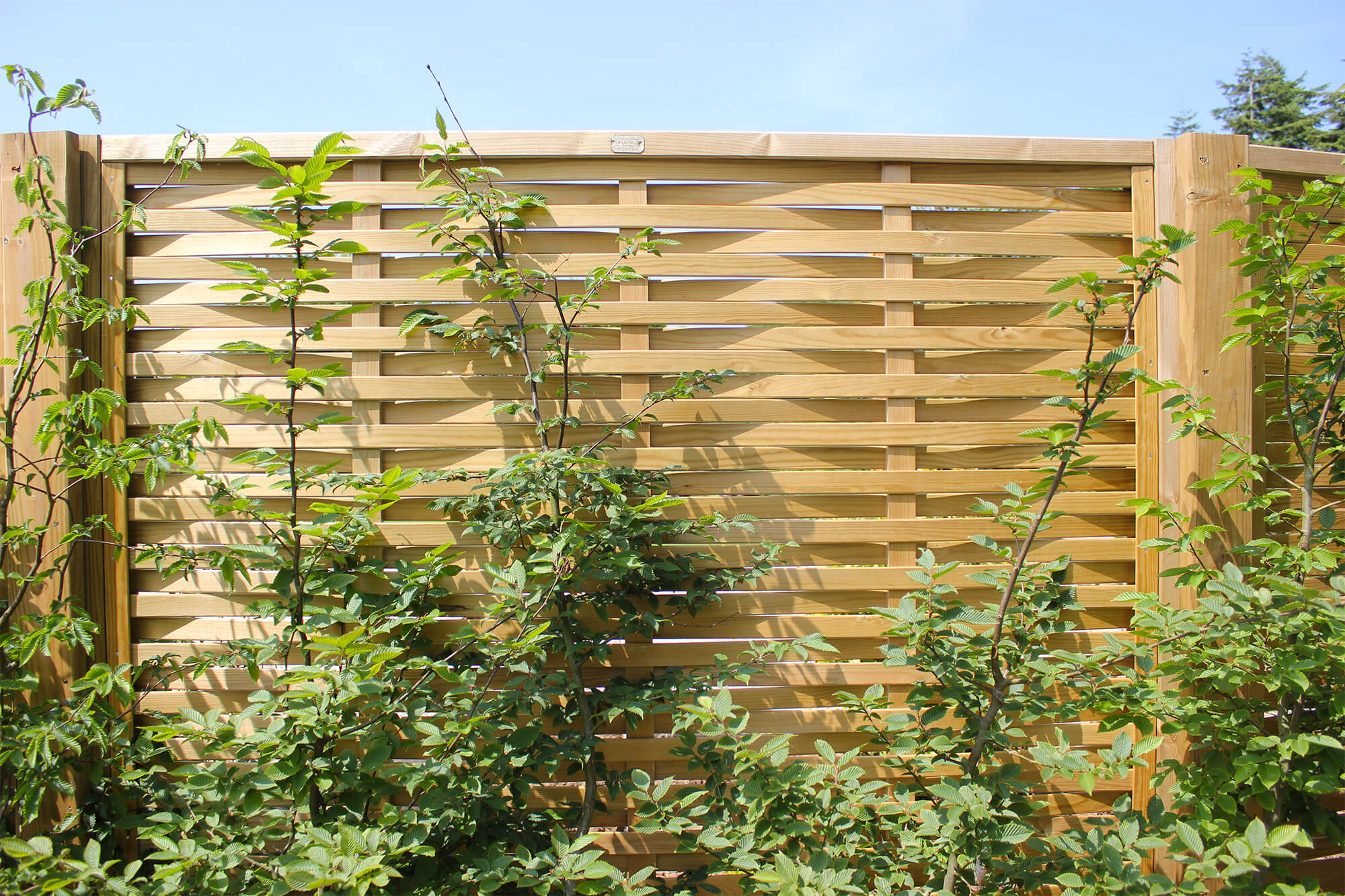 Woven Modern Horizontal Fence