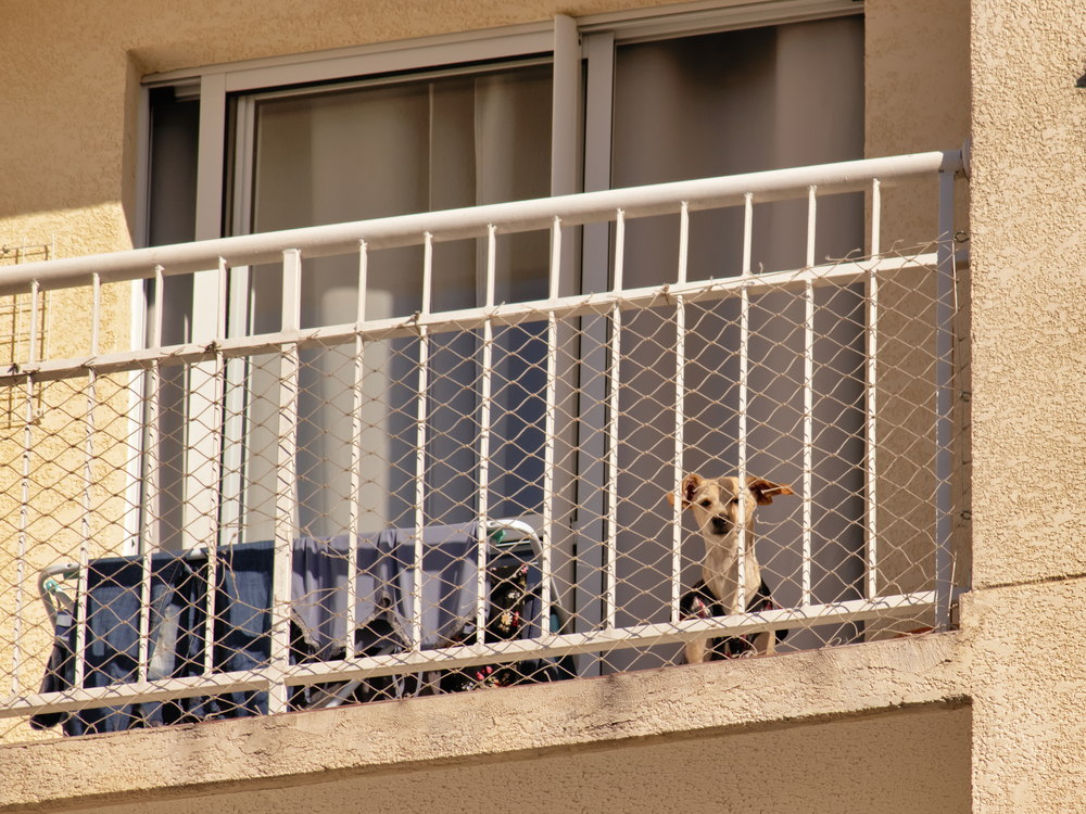 A Balcony with a Fence