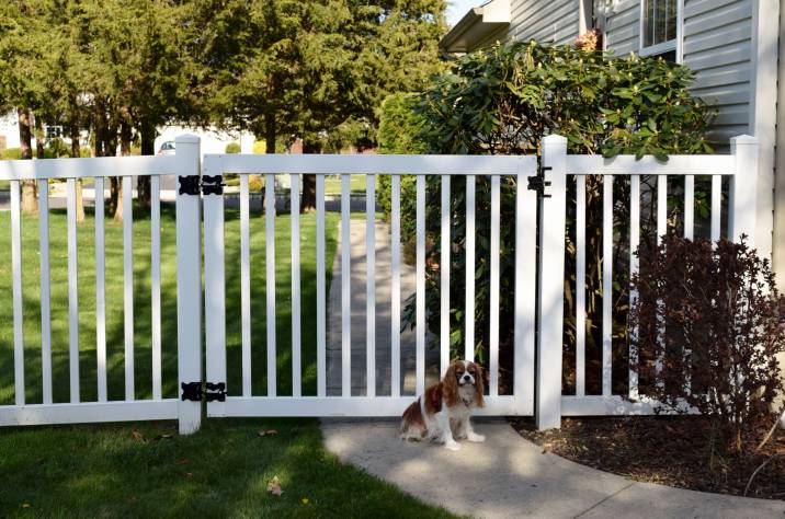 A Dog Fence with a Gate