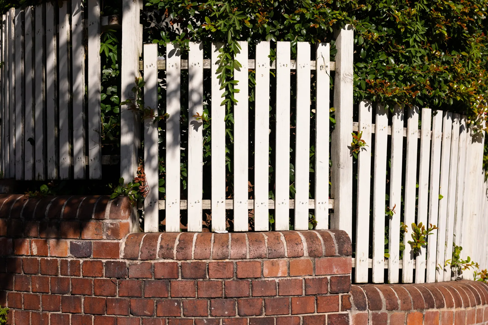 A Fence .jpg