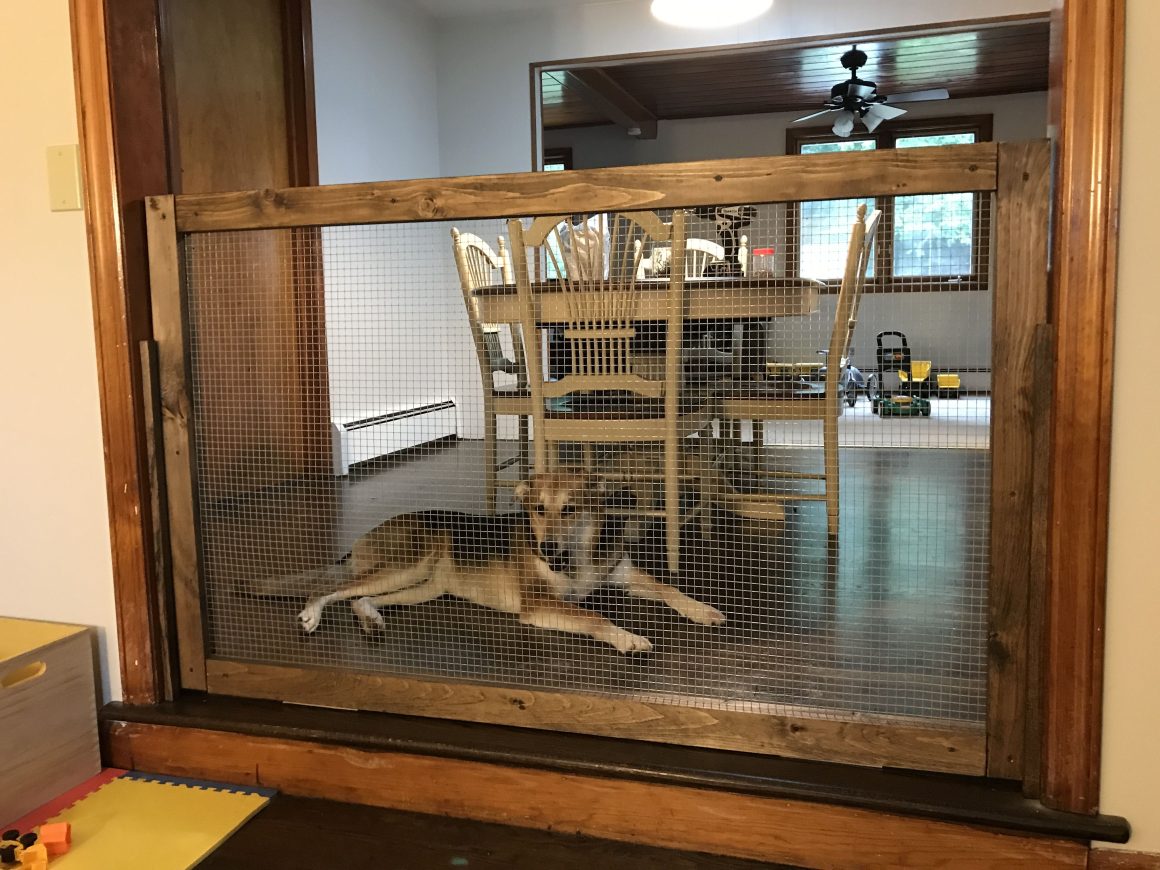 A Mounted Fence For Your Dog