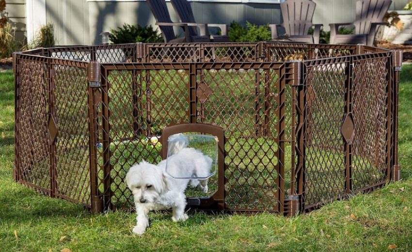 A Portable Dog Fence