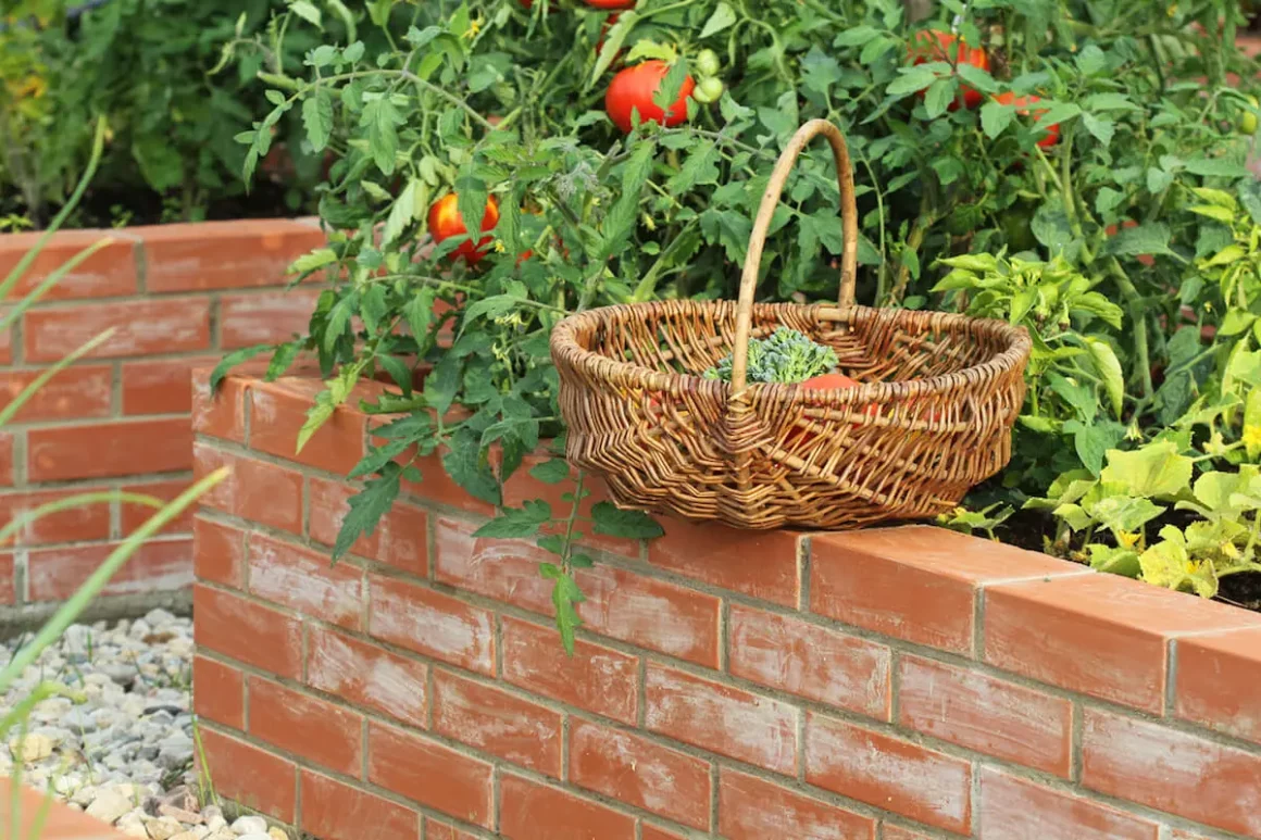 Brick Raised Bed