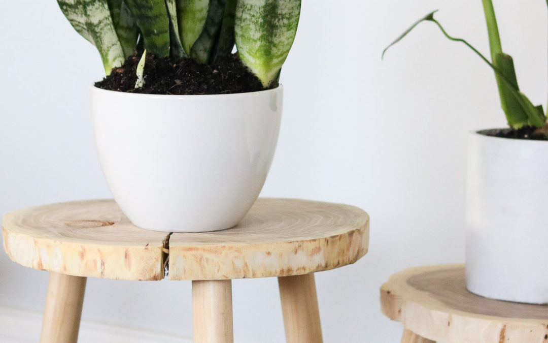 Creative Wood Plant Table