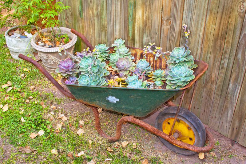 Garden on Wheels