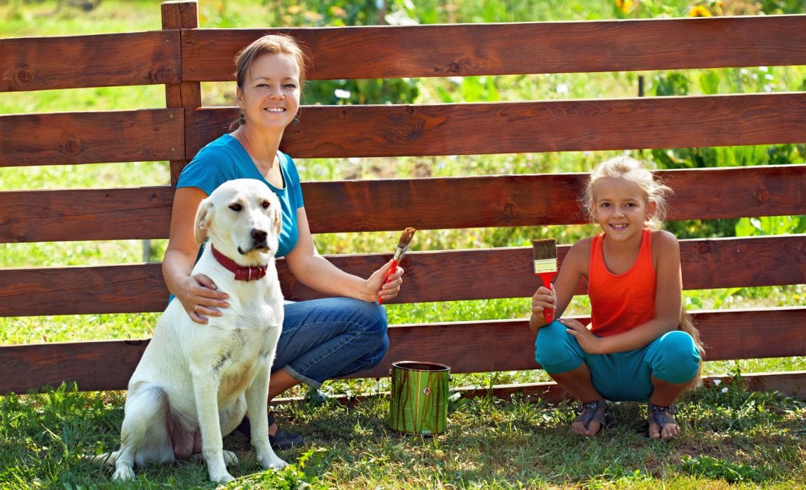 Horizontal Dog Fence