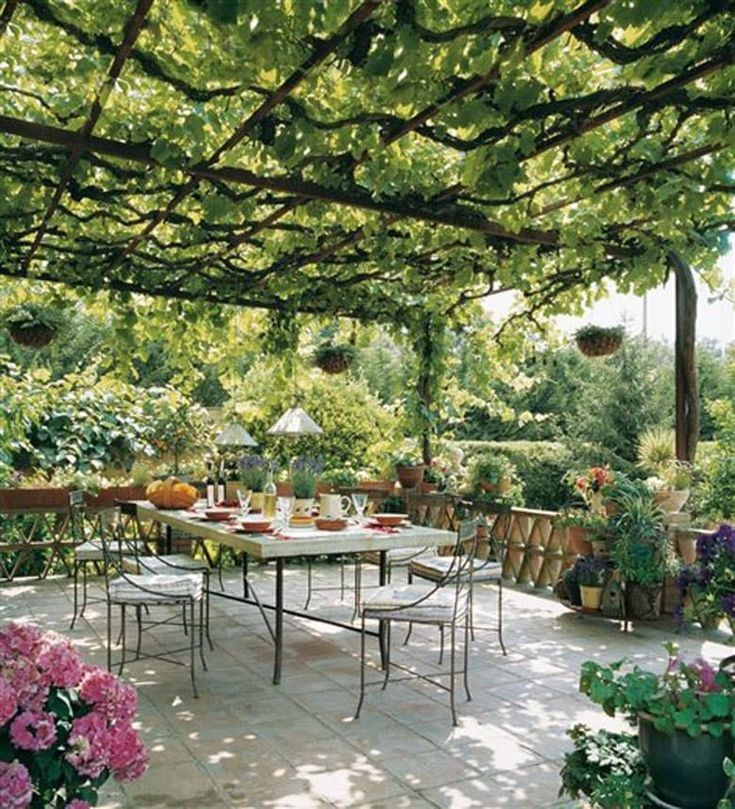 Patio with Climbing Vines
