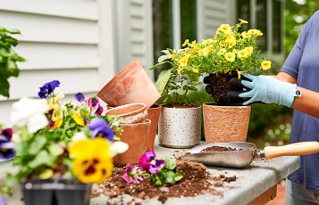 Repurpose Old Vases