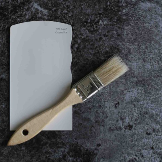 Sherwin Williams Crushed Ice Rview – A Warm Gray and pastel with character