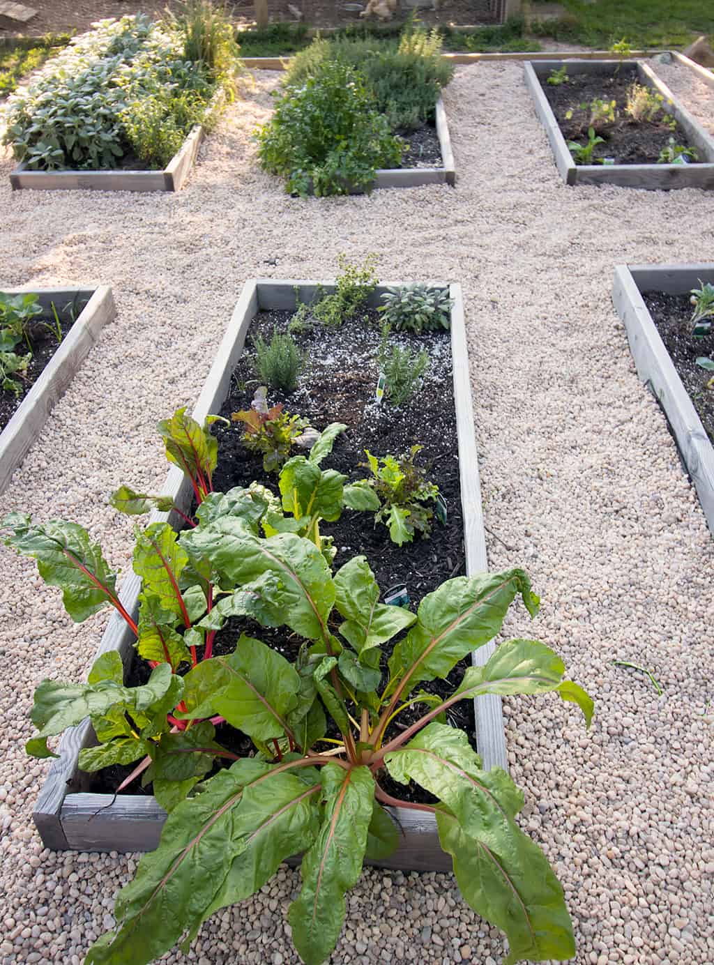 White Rock Herb Garden